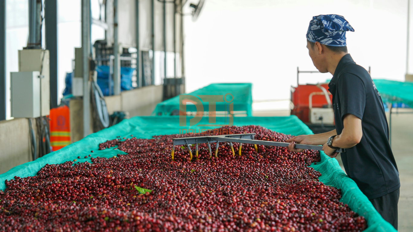 thuê đất cụm công nghiệp ngành chế biến nông sản