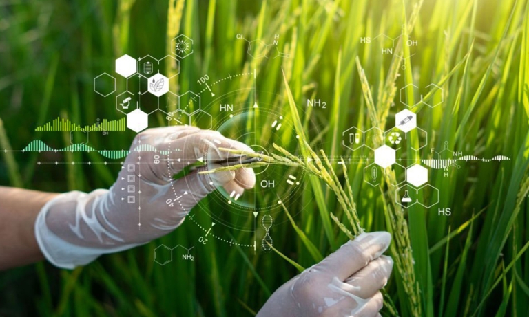 Hiện đại hóa ngành nông nghiệp Việt Nam